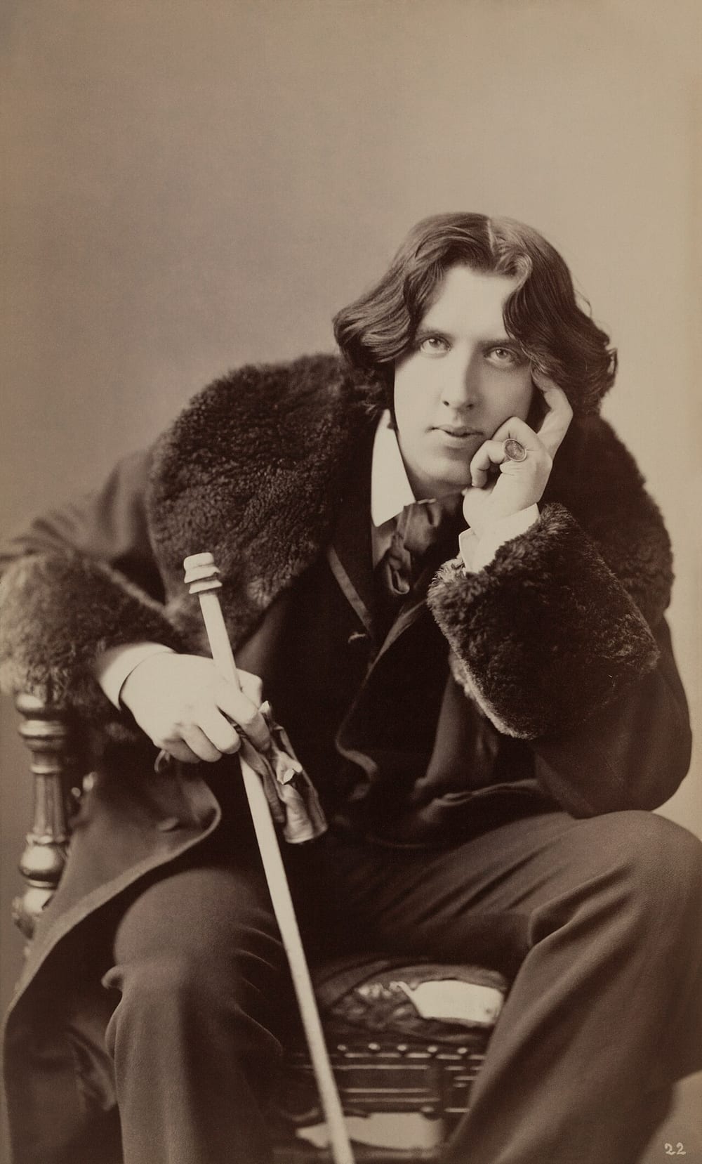 Oscar Wilde, photographed by Napoleon Sarony, 1882.